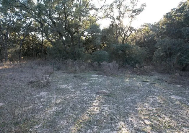 Photo 4 of Land for sale at 516 County Rd 120, Hallettsville, TX 77964 | MLS# 3486771 | Listing updated on 2026-07-31
