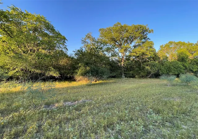 1st image of 0 Mule Creek Rd, Harwood, TX 78632 | MLS# 70203058