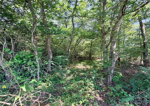 Homes for sale in Hearne, TX | Tbd 154ac Crennan Ln, Hearne, TX 77859 | MLS# 59171407
