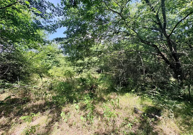 Homes for sale in Hearne, TX | Tbd 154Ac Crennan Ln, Hearne, TX 77859 | MLS# 59171407