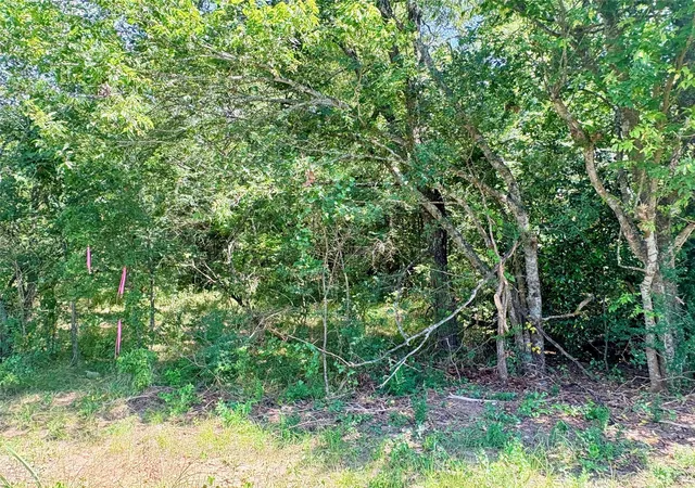Homes for sale in Hearne, TX | Tbd 154Ac Crennan Ln, Hearne, TX 77859 | MLS# 59171407