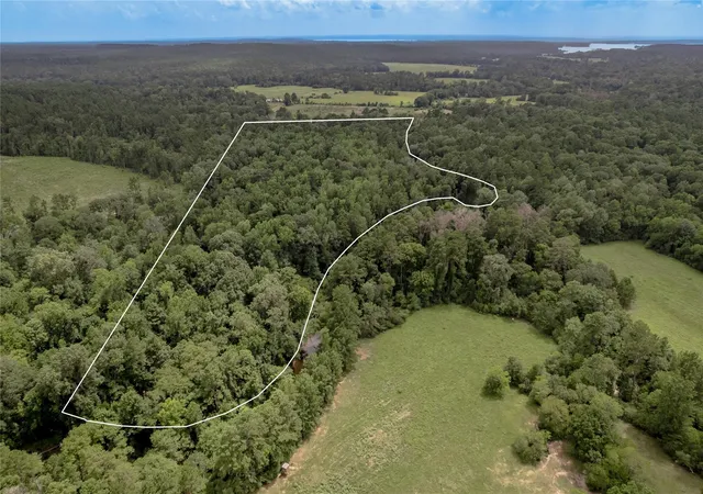 Photo 1 of Land for sale at 438 Cody Rd, Trinity, TX 75862 | MLS# 30328603 | Listing updated on 2026-07-14