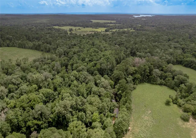 Photo 3 of Land for sale at 438 Cody Rd, Trinity, TX 75862 | MLS# 30328603 | Listing updated on 2026-07-14