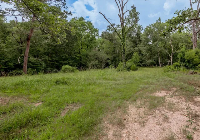 Photo 3 of Land for sale at 438 Cody Rd, Trinity, TX 75862 | MLS# 30328603 | Listing updated on 2026-07-14