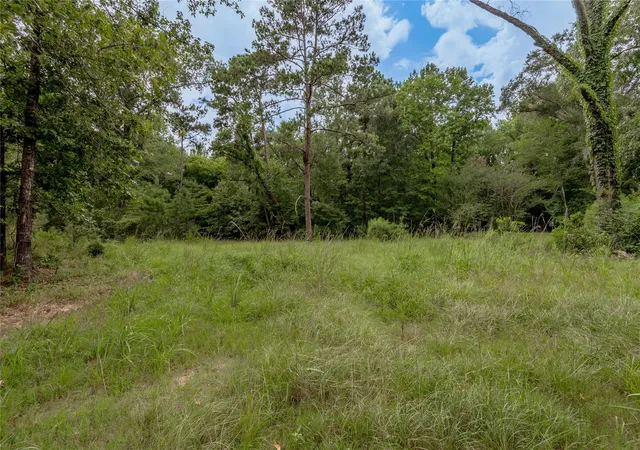 Photo 4 of Land for sale at 438 Cody Rd, Trinity, TX 75862 | MLS# 30328603 | Listing updated on 2026-07-14