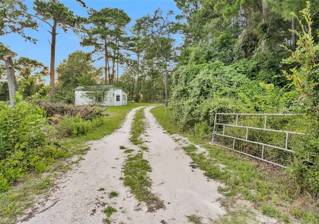Photo 2 of Land for sale at 943 Fm 2989, Midway, TX 75852 | MLS# 85059098 | Listing updated on 2026-08-28