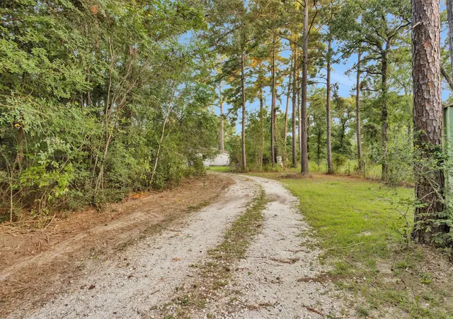 Photo 2 of Land for sale at 943 Fm 2989, Midway, TX 75852 | MLS# 85059098 | Listing updated on 2026-08-28