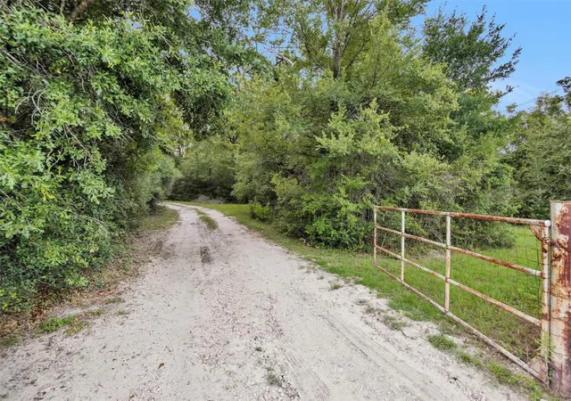 Photo 50 of Land for sale at 943 Fm 2989, Midway, TX 75852 | MLS# 85059098 | Listing updated on 2026-08-28