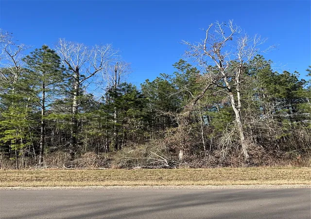Homes for sale in Willis, TX | 175 Exploration Rd, Willis, TX 77378 | MLS# 11968042