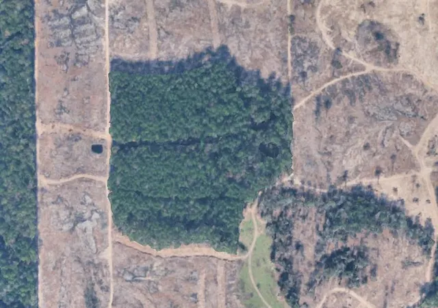 Photo 2 of Land for sale at Tbd Morgan Cemetary Rd, Cleveland, TX 77328 | MLS# 83562405 | Listing updated on 2026-03-05