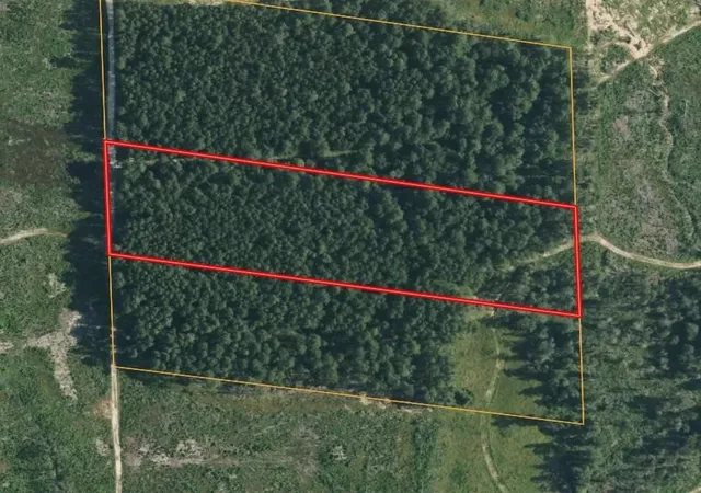 Photo 2 of Land for sale at Tbd Morgan Cemetary Rd, Cleveland, TX 77328 | MLS# 83562405 | Listing updated on 2026-03-05