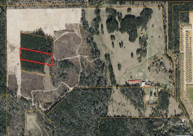 Photo 6 of Land for sale at Tbd Morgan Cemetary Rd, Cleveland, TX 77328 | MLS# 83562405 | Listing updated on 2026-03-05