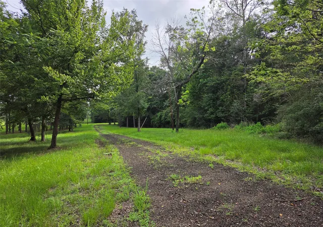 Homes for sale in Chester, TX | 3088 County Road 2565 N, Chester, TX 75979 | MLS# 20778564
