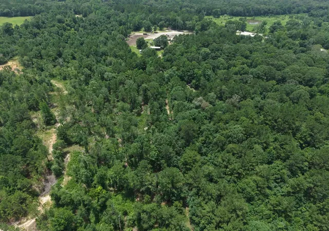 Homes for sale in Chester, TX | 3088 County Road 2565 N, Chester, TX 75979 | MLS# 20778564