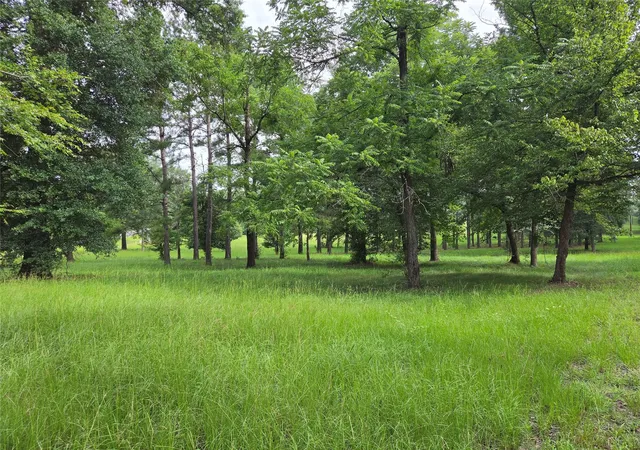 Homes for sale in Chester, TX | 3088 County Road 2565 N, Chester, TX 75979 | MLS# 20778564