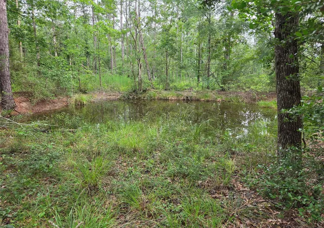 Homes for sale in Chester, TX | 3088 County Road 2565 N, Chester, TX 75979 | MLS# 20778564