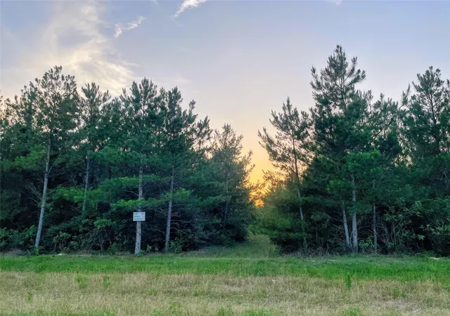 Photo 3 of Land for sale at 15705 Ridge Rock Rd, Willis, TX 77378 | MLS# 70884887 | Listing updated on 2026-09-23