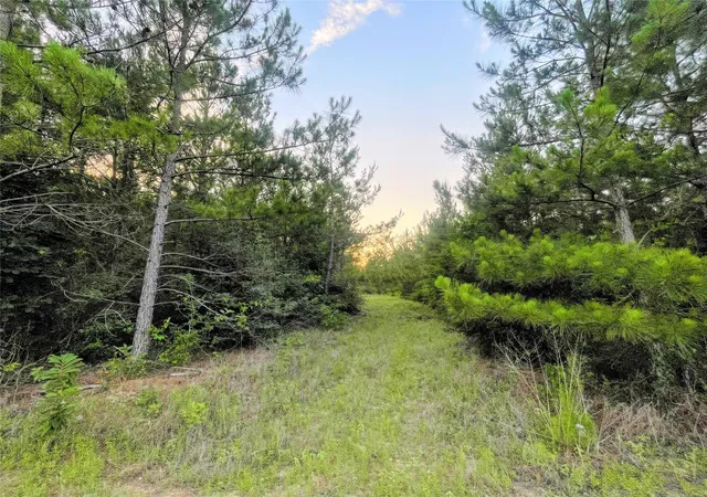 Photo 3 of Land for sale at 15705 Ridge Rock Rd, Willis, TX 77378 | MLS# 70884887 | Listing updated on 2026-09-23