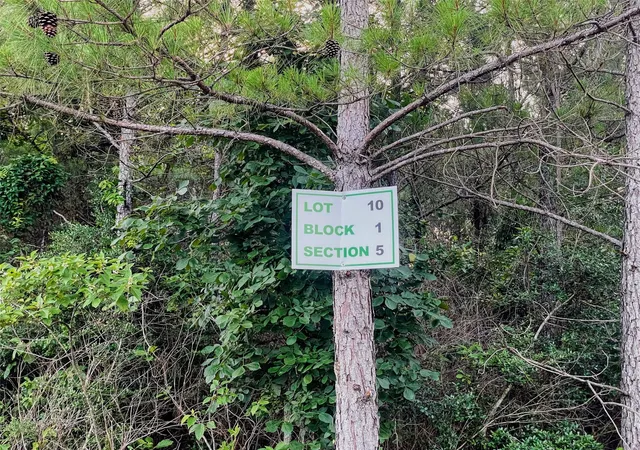Photo 4 of Land for sale at 15705 Ridge Rock Rd, Willis, TX 77378 | MLS# 70884887 | Listing updated on 2026-09-23