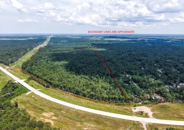 Photo 3 of Sale Pending at Tbd Aggie Expy 249, Plantersville, TX 77363 | MLS# 61610618 | Listing updated on 2026-08-28
