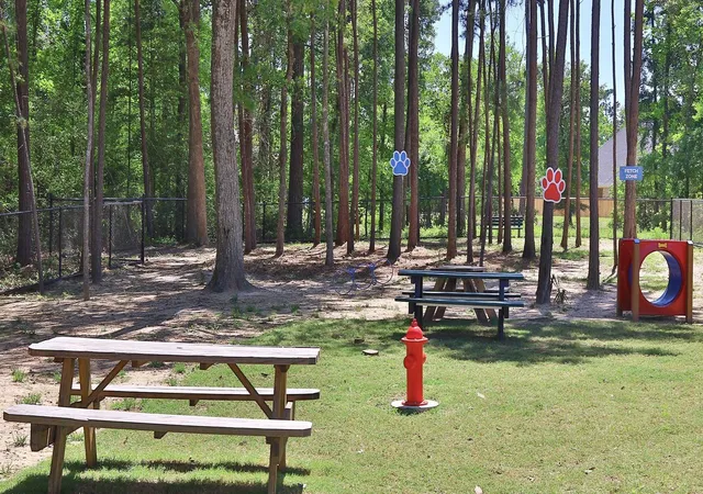 17th image of 376 Mulberry Creek Creek, Conroe, TX 77304 | MLS# 69011996