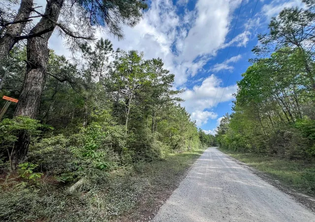 Homes for sale in Woodville, TX | 1 Cr 4300, Woodville, TX 75979 | MLS# 84365858
