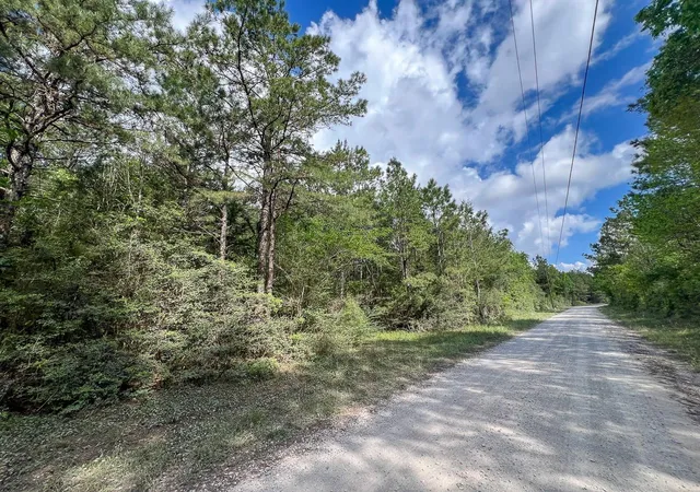 Homes for sale in Woodville, TX | 1 Cr 4300, Woodville, TX 75979 | MLS# 84365858