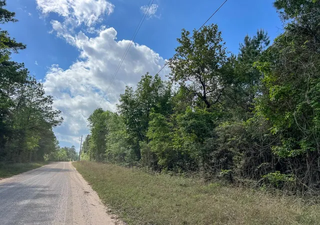 Homes for sale in Woodville, TX | 1 Cr 4300, Woodville, TX 75979 | MLS# 84365858