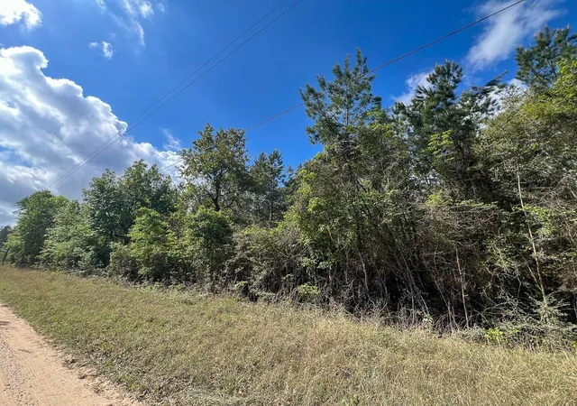 Homes for sale in Woodville, TX | 1 Cr 4300, Woodville, TX 75979 | MLS# 84365858