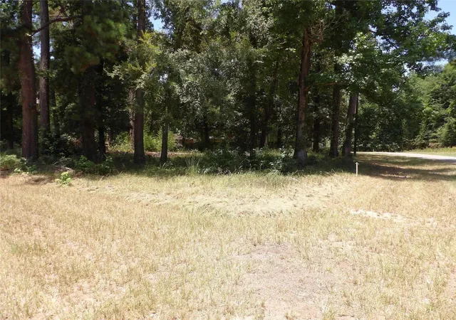 Photo 1 of Land for sale at 681 Plum Tree, Livingston, TX 77351 | MLS# 65723522 | Listing updated on 2026-04-14