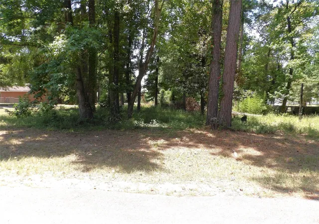 Photo 3 of Land for sale at 681 Plum Tree, Livingston, TX 77351 | MLS# 65723522 | Listing updated on 2026-04-14