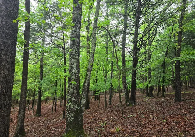 Photo 1 of Land for sale at 7413 Quail Holw Ct, Larue, TX 75770 | MLS# 75016741 | Listing updated on 2026-05-21