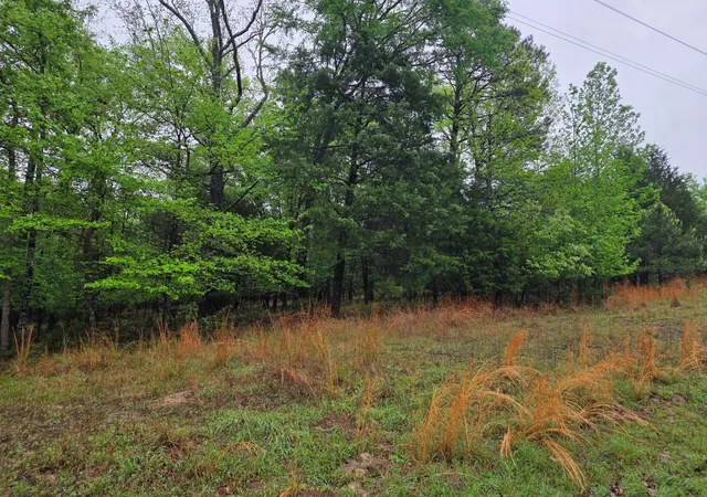 Photo 2 of Land for sale at 7413 Quail Holw Ct, Larue, TX 75770 | MLS# 75016741 | Listing updated on 2026-05-21