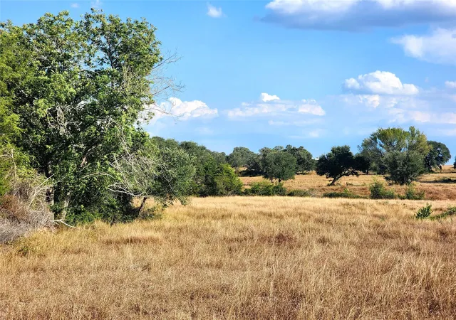 2nd image of Tbd Tbd Fm 318, Hallettsville, TX 77964 | MLS# 26899640