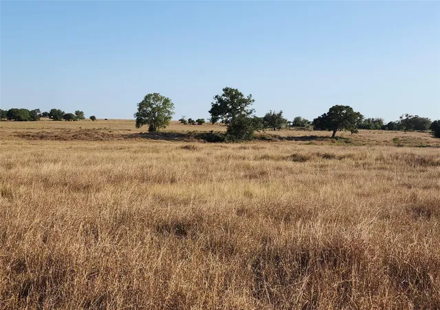 3rd image of Tbd Tbd Fm 318, Hallettsville, TX 77964 | MLS# 26899640