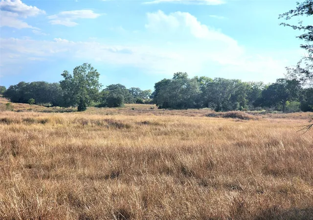 5th image of Tbd Tbd Fm 318, Hallettsville, TX 77964 | MLS# 26899640