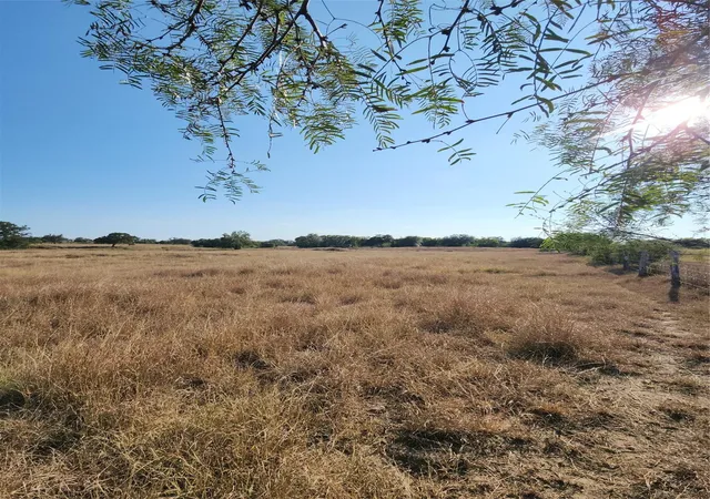 6th image of Tbd Tbd Fm 318, Hallettsville, TX 77964 | MLS# 26899640