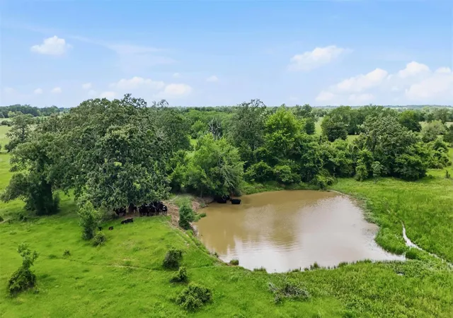image of Tract 4 Holly Cemetery Rd, Franklin, TX 77856 | MLS# 65033979