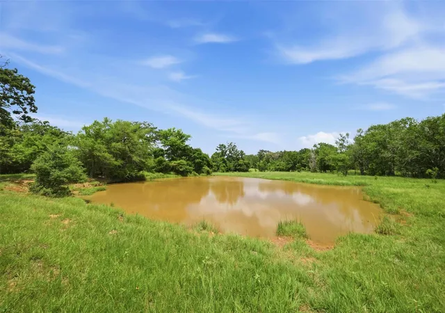 image of Tract 4 Holly Cemetery Rd, Franklin, TX 77856 | MLS# 65033979