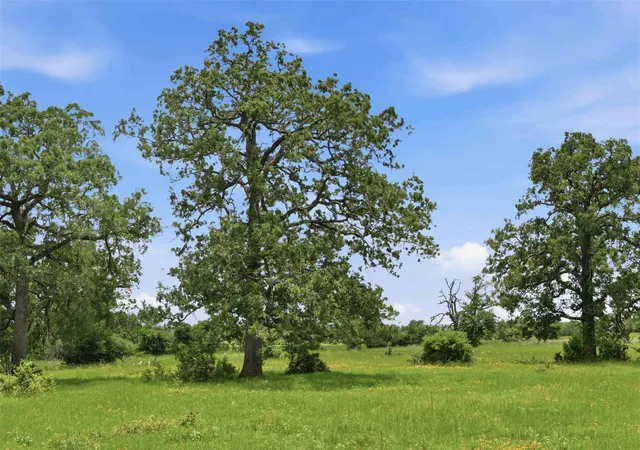 image of Tract 4 Holly Cemetery Rd, Franklin, TX 77856 | MLS# 65033979