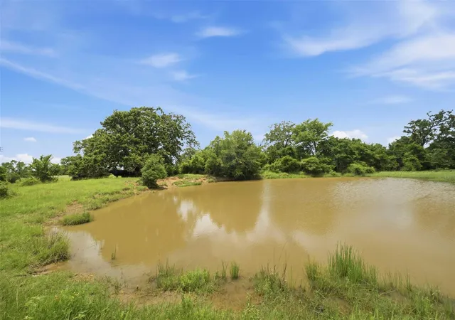 image of Tract 4 Holly Cemetery Rd, Franklin, TX 77856 | MLS# 65033979
