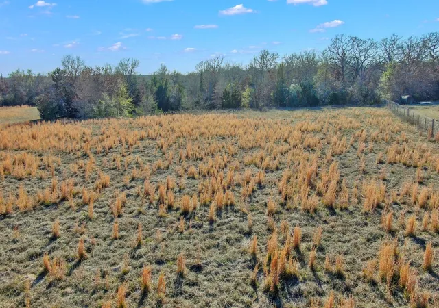 11th image of Tbd Private Road 2016 Road, Caldwell, TX 77836 | MLS# 5563198