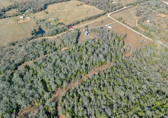 5th image of Tbd Private Road 2016 Road, Caldwell, TX 77836 | MLS# 5563198