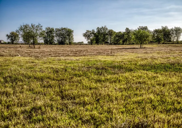 Photo 3 of Sale Pending at 460 County Road 328, Caldwell, TX 77836 | MLS# 92146669 | Listing updated on 2026-08-24