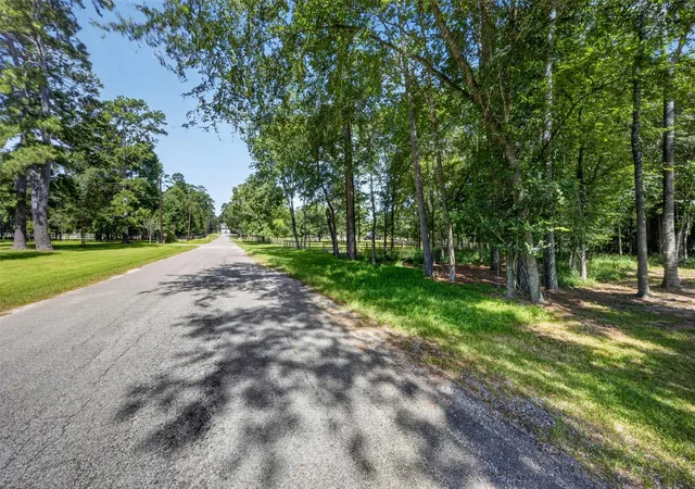 1st image of 0 Lone Shadow Trl, Magnolia, TX 77355 | MLS# 13941624