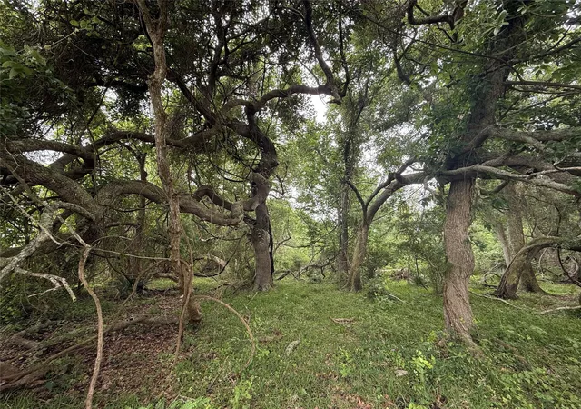 2nd image of 6827 Bryan Road, Freeport, TX 77541 | MLS# 43987599