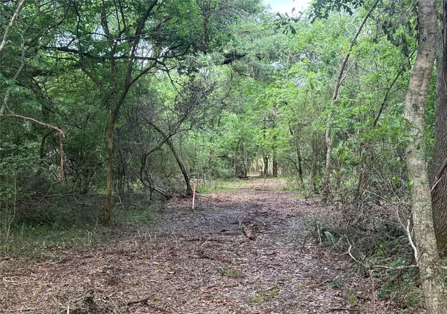 7th image of 6827 Bryan Road, Freeport, TX 77541 | MLS# 43987599