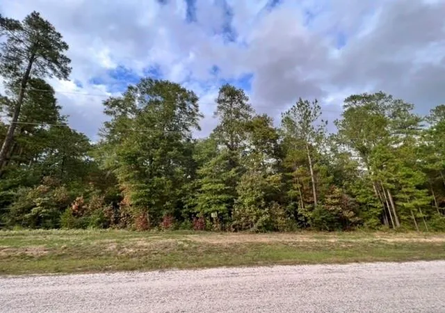 Photo 3 of Land for sale at 00 Hereford Trl, Huntsville, TX 77340 | MLS# 29168479 | Listing updated on 2026-08-25