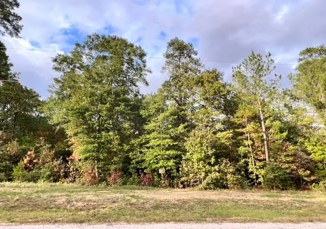Photo 4 of Land for sale at 00 Hereford Trl, Huntsville, TX 77340 | MLS# 29168479 | Listing updated on 2026-08-25