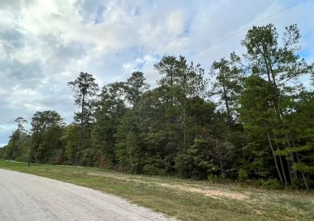 7th image of 00 Hereford Trl, Huntsville, TX 77340 | MLS# 29168479